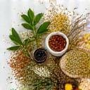 Image representing a selection of natural ingredients like herbs, flowers, and oils